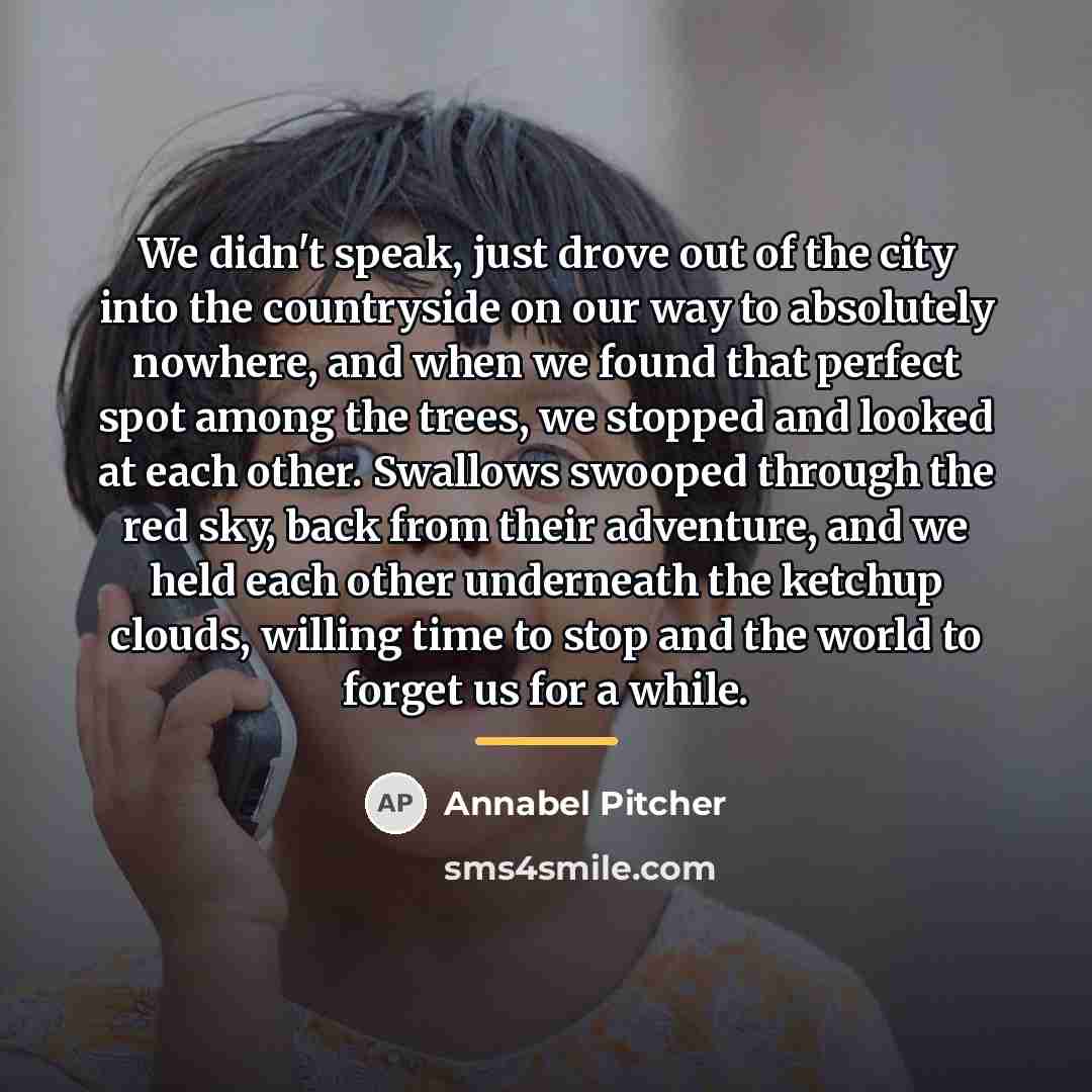 “We didn't speak, just drove out of the city into…” quote by Annabel Pitcher