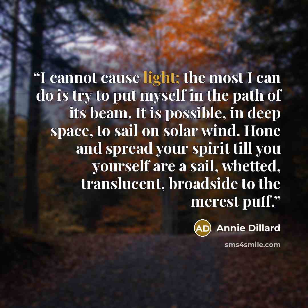 “I cannot cause light; the most I can do is try to put myself in the path of its beam. It is possible, in deep space, to sail on solar wind. Hone and spread your spirit till you yourself are a sail, whetted, translucent, broadside to the merest puff.” quote by Annie Dillard
