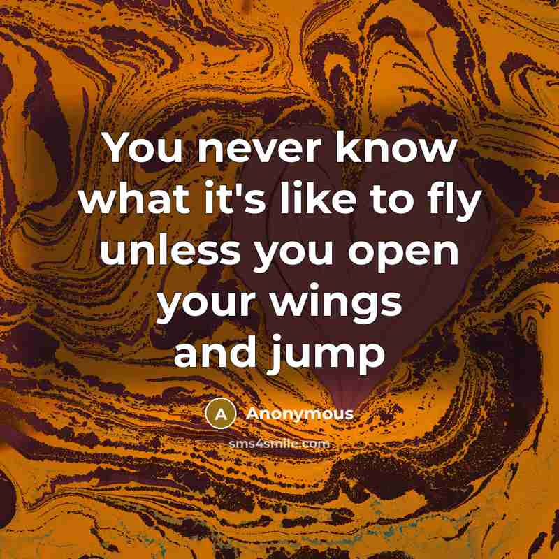 “You never know what it's like to fly unless you…” quote by Anonymous