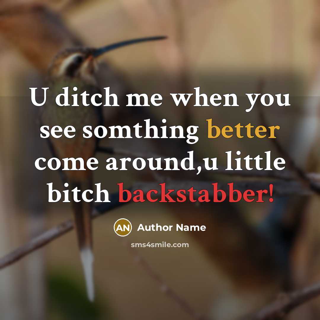 “U ditch me when you see somthing better come around,u little bitch backstabber!” quote by Author Name