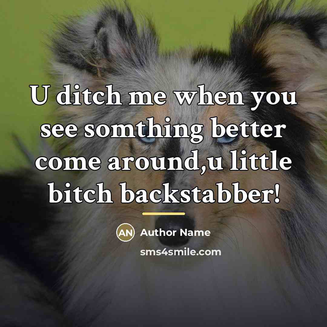 “U ditch me when you see somthing better come around,u…” quote by Author Name