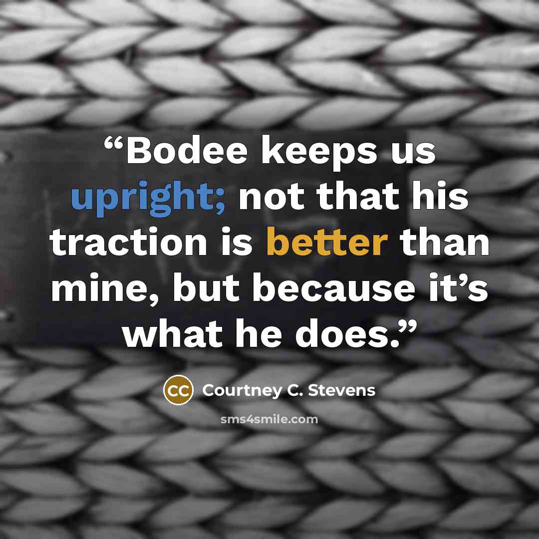 “Bodee keeps us upright; not that his traction is better than mine, but because it’s what he does.” quote by Courtney C. Stevens