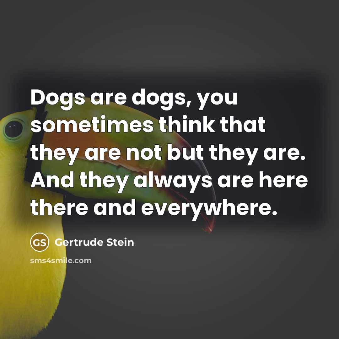 “Dogs are dogs, you sometimes think that they are not but they are. And they always are here there and everywhere.” quote by Gertrude Stein