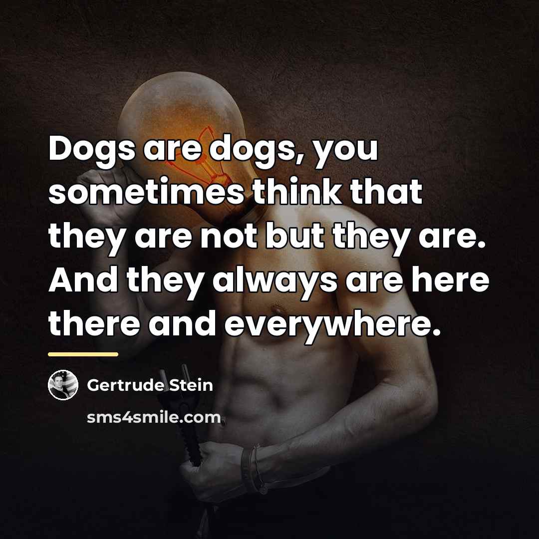 “Dogs are dogs, you sometimes think that they are not…” quote by Gertrude Stein