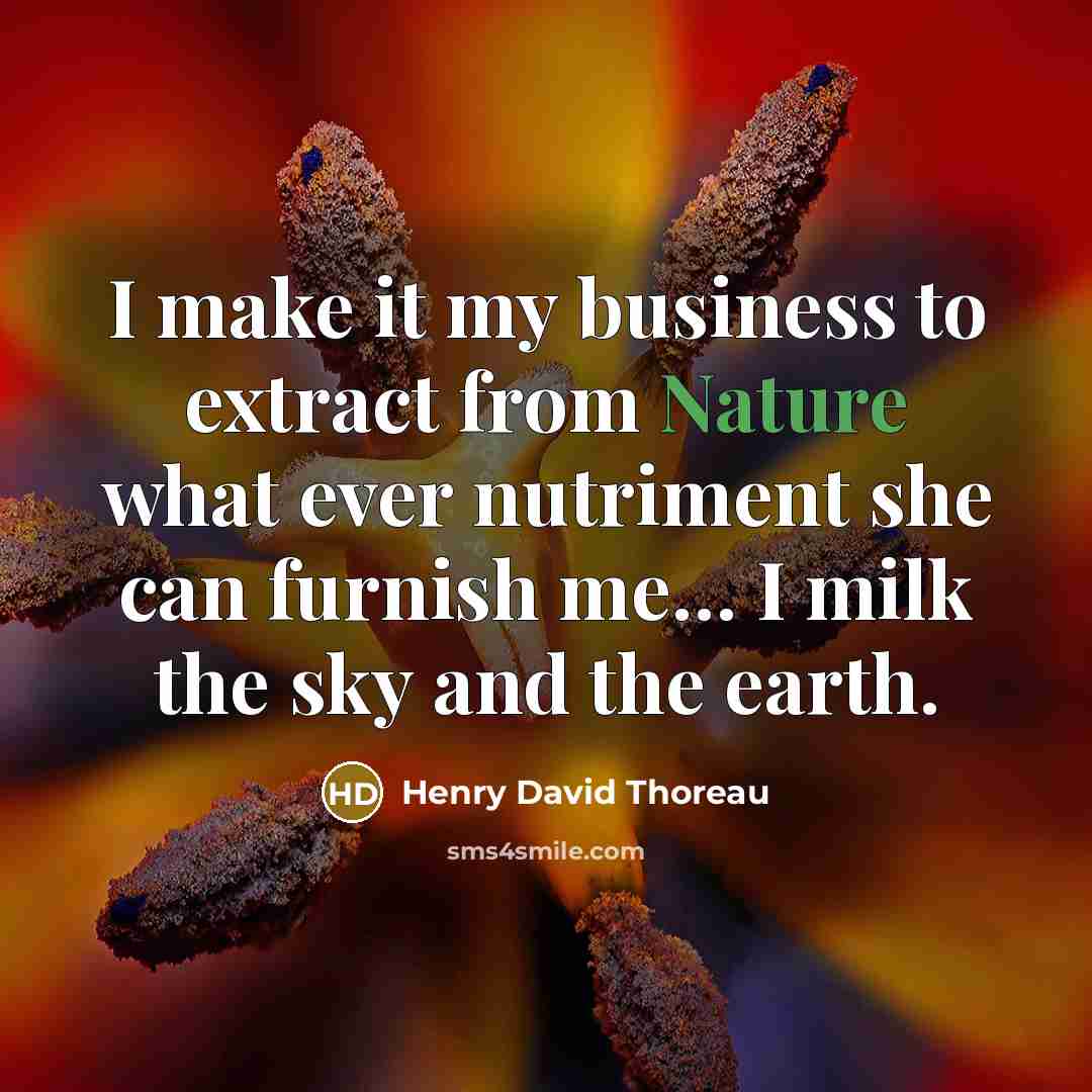 “I make it my business to extract from Nature what…” quote by Henry David Thoreau