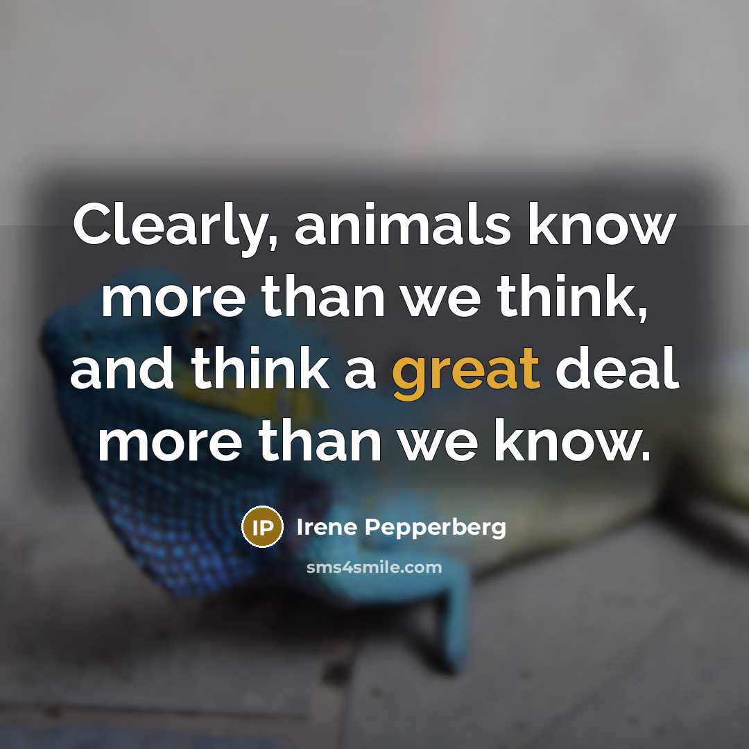 “Clearly, animals know more than we think, and think a great deal more than we know.” quote by Irene Pepperberg