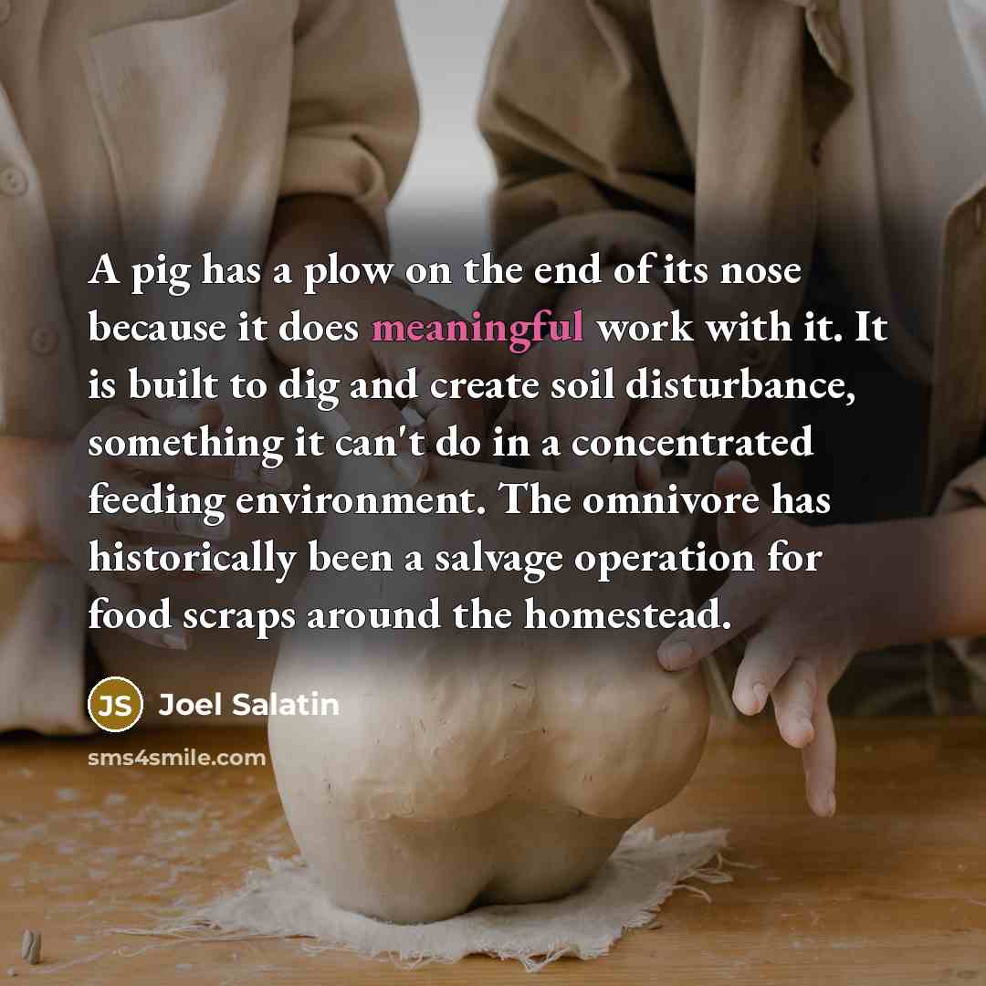 “A pig has a plow on the end of its…” quote by Joel Salatin