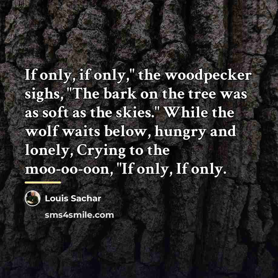“If only, if only," the woodpecker sighs, "The bark on…” quote by Louis Sachar