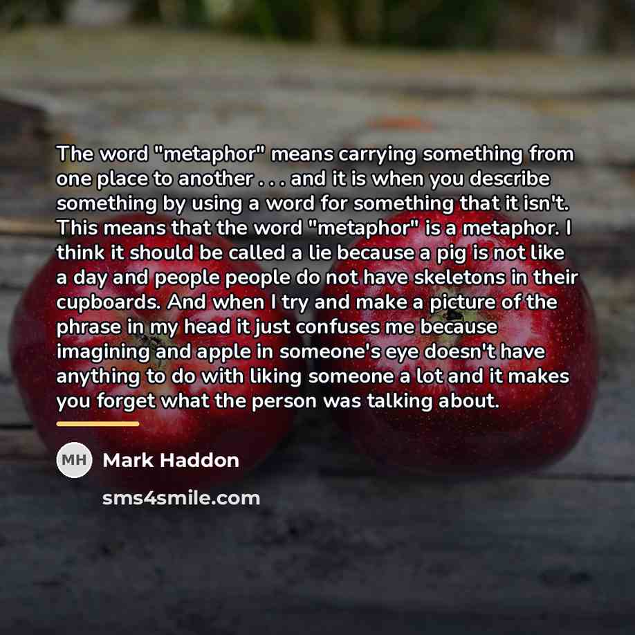 “The word "metaphor" means carrying something from one place to…” quote by Mark Haddon