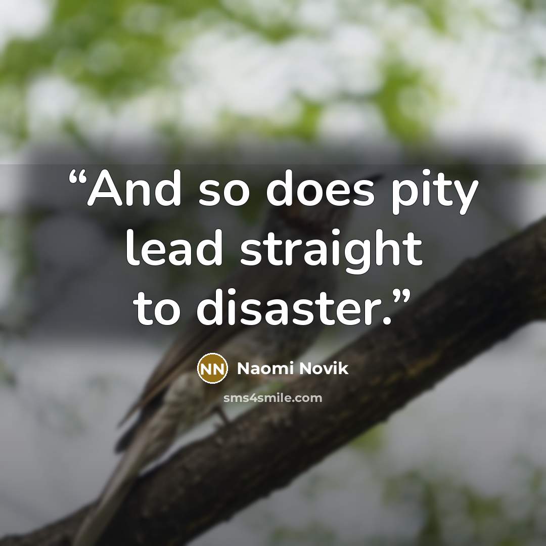 “And so does pity lead straight to disaster.” quote by Naomi Novik