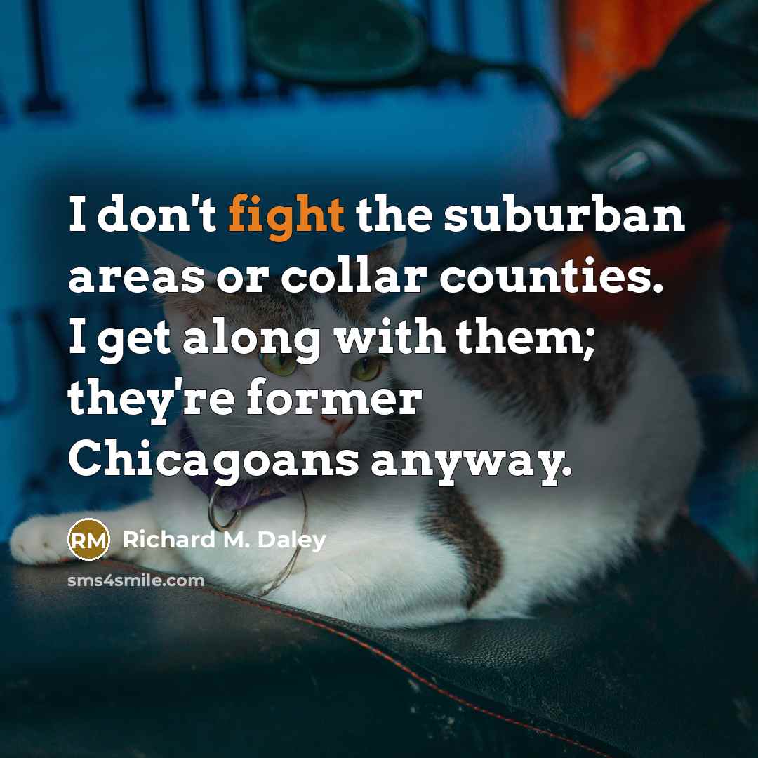 “I don't fight the suburban areas or collar counties. I…” quote by Richard M. Daley