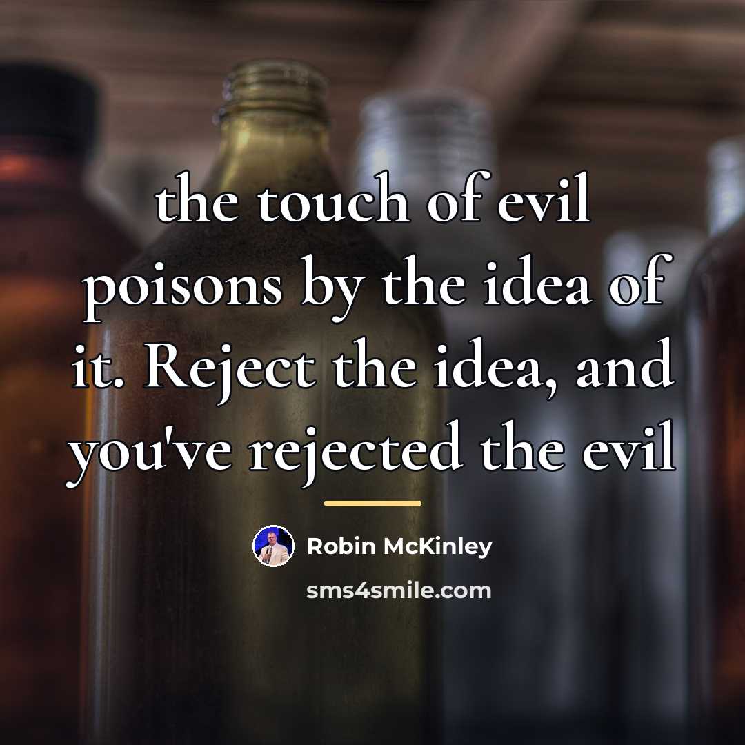 “the touch of evil poisons by the idea of it.…” quote by Robin McKinley