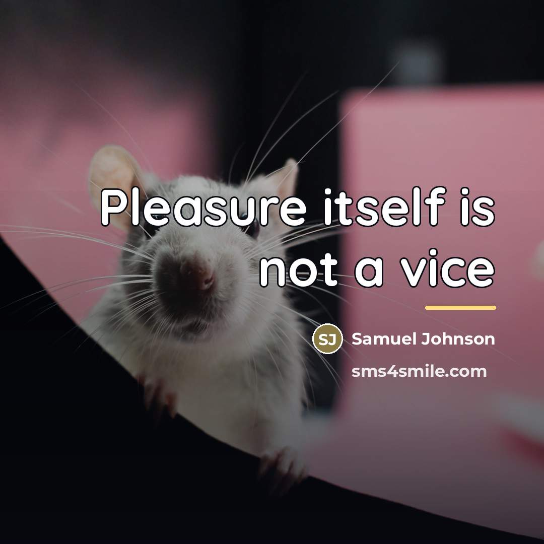 “Pleasure itself is not a vice…” quote by Samuel Johnson