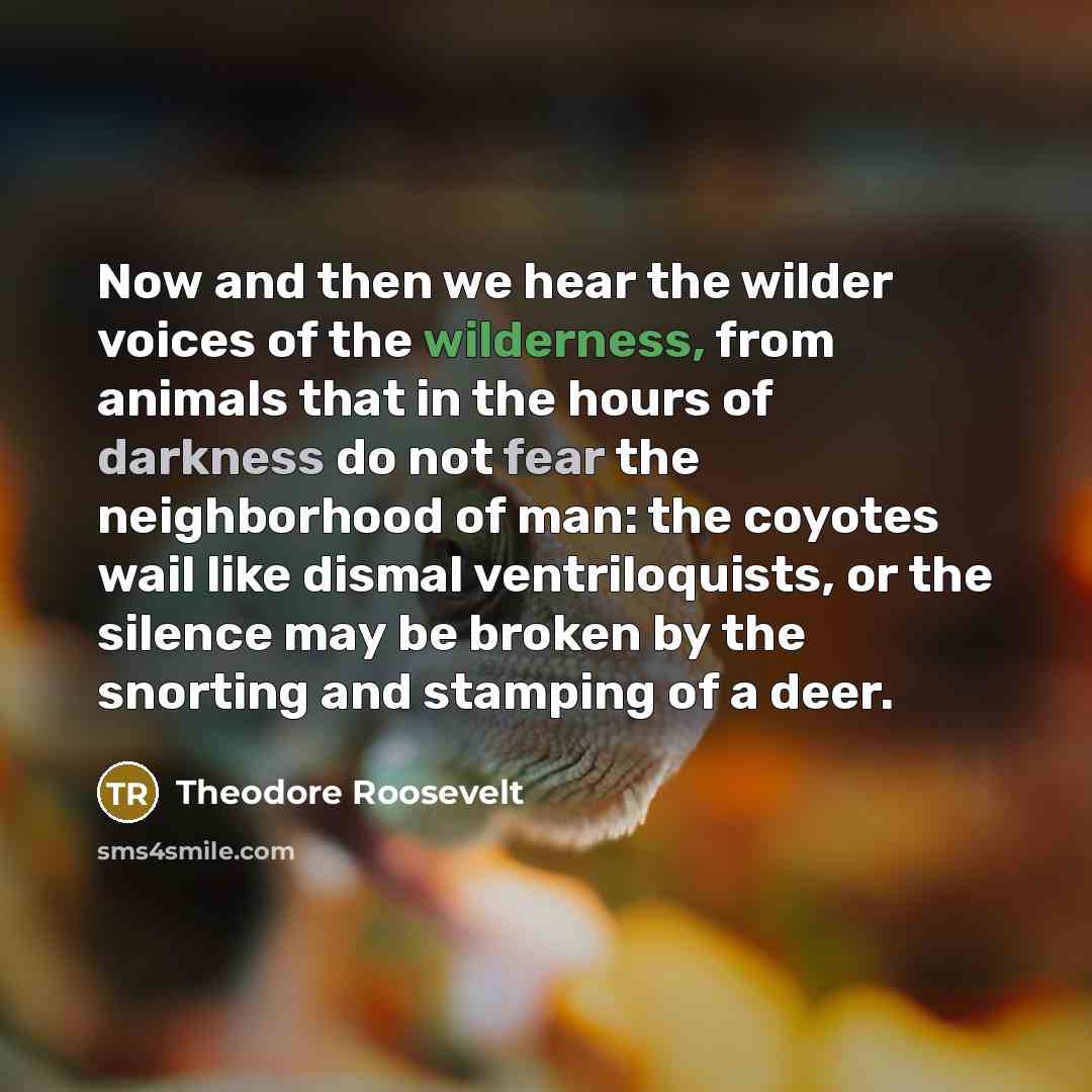 “Now and then we hear the wilder voices of the…” quote by Theodore Roosevelt