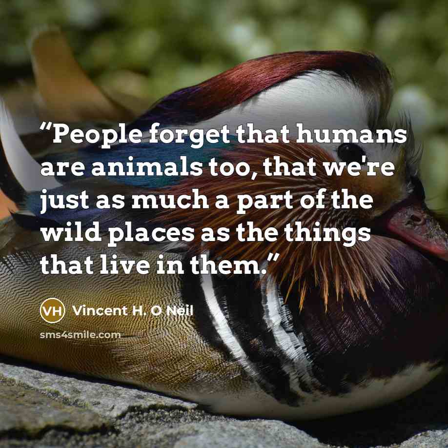 “People forget that humans are animals too, that we're just as much a part of the wild places as the things that live in them.” quote by Vincent H. O Neil