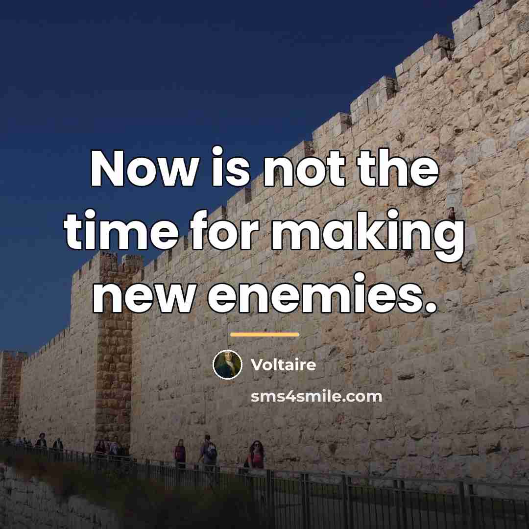“Now is not the time for making new enemies.…” quote by Voltaire