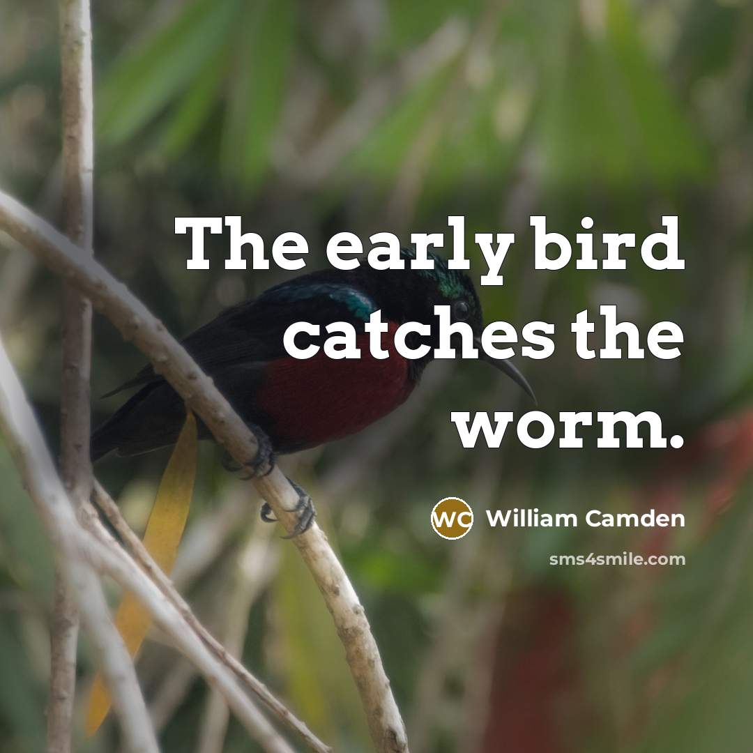 “The early bird catches the worm.…” quote by William Camden