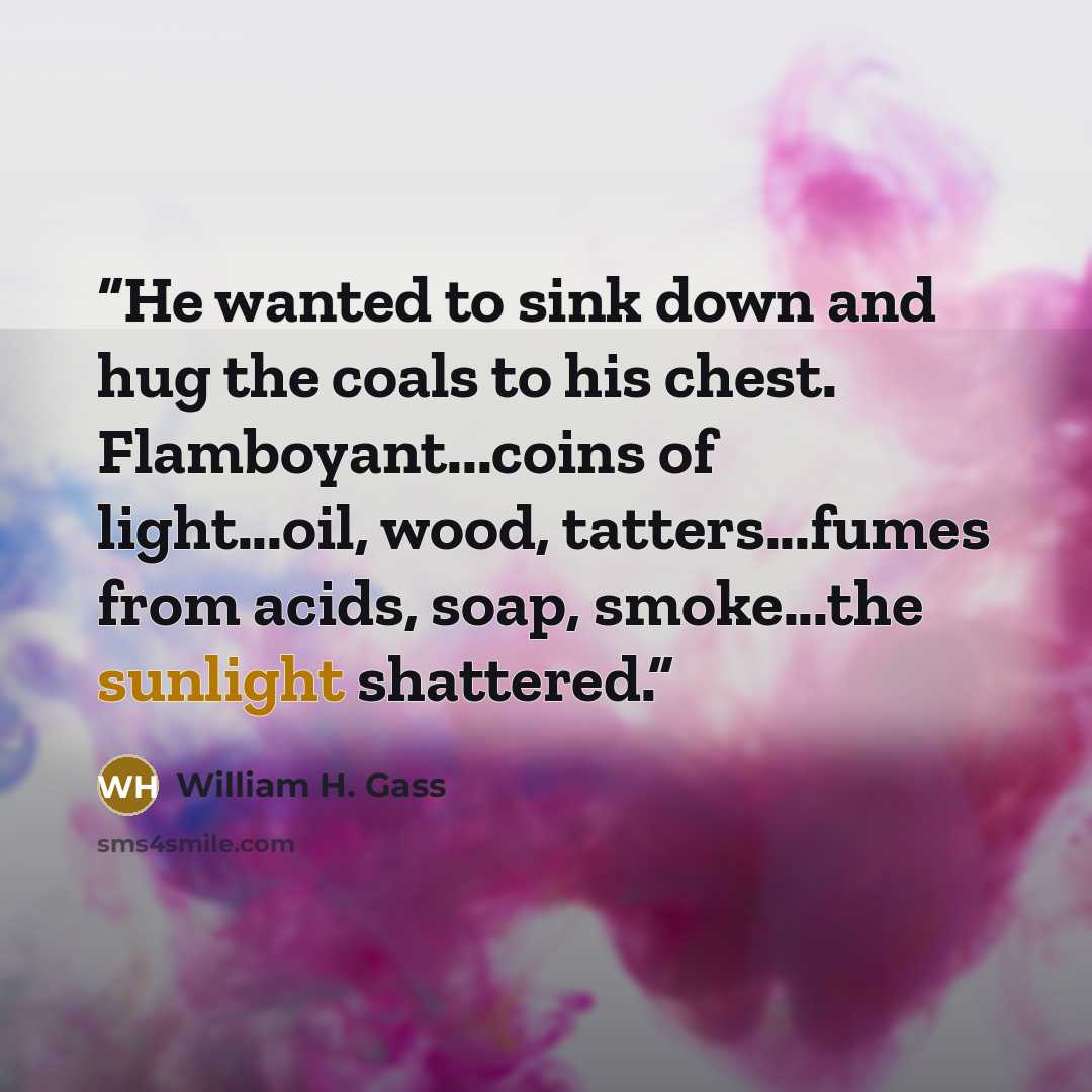 “He wanted to sink down and hug the coals to his chest. Flamboyant...coins of light...oil, wood, tatters...fumes from acids, soap, smoke...the sunlight shattered.” quote by William H. Gass