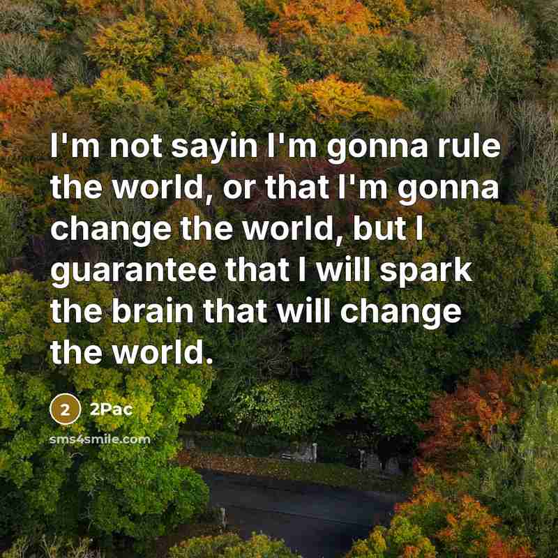 “I'm not sayin I'm gonna rule the world, or that…” quote by 2Pac