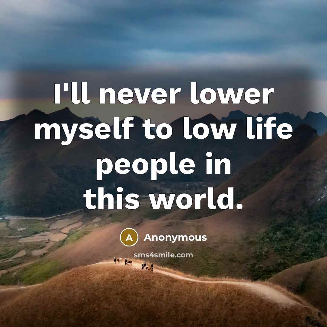 “I'll never lower myself to low life people in this…” quote by Anonymous