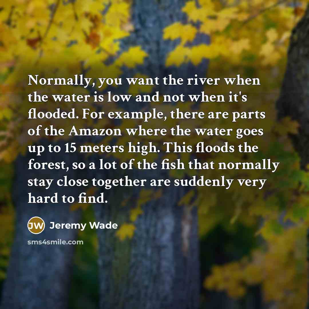“Normally, you want the river when the water is low…” quote by Jeremy Wade