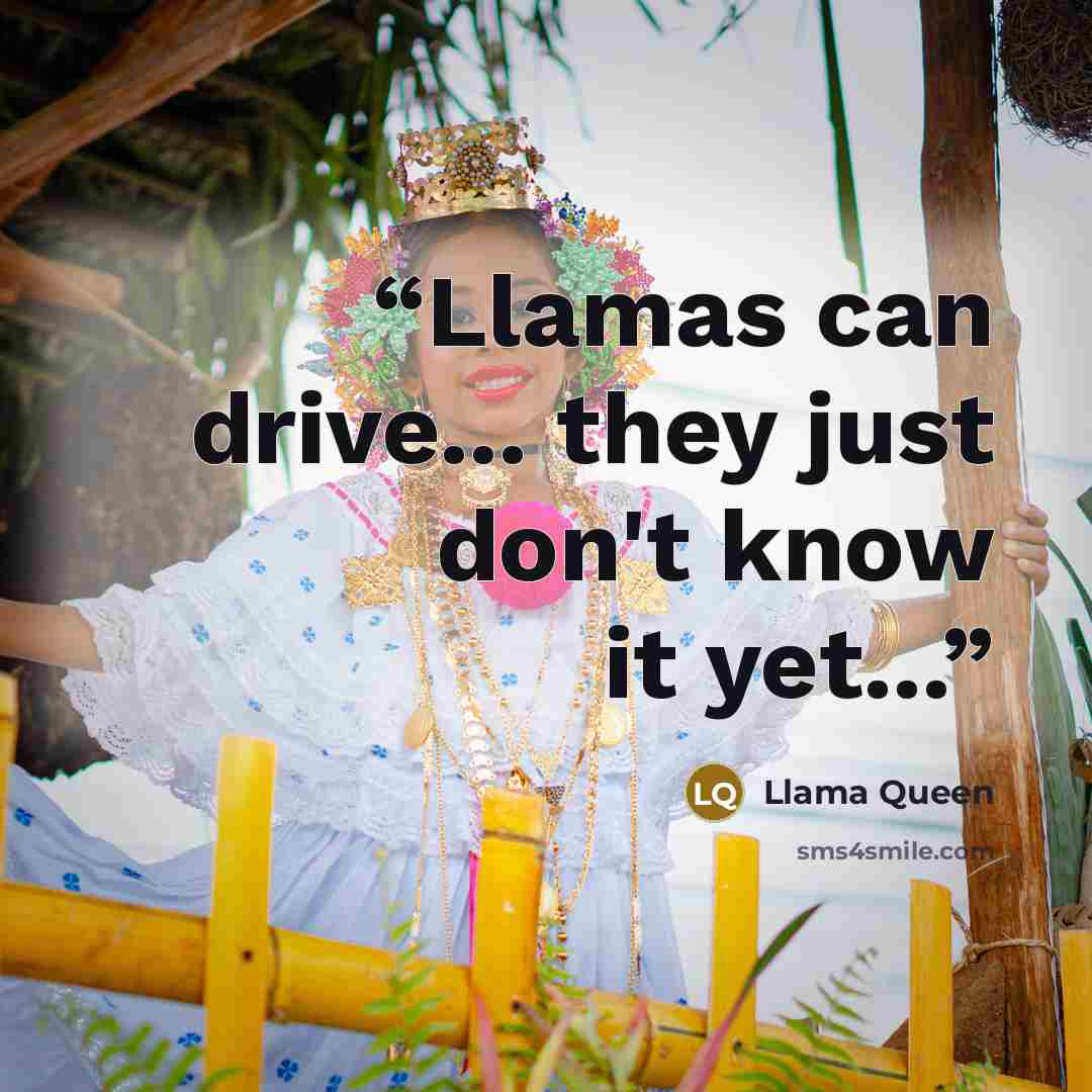 “Llamas can drive... they just don't know it yet...” quote by Llama Queen