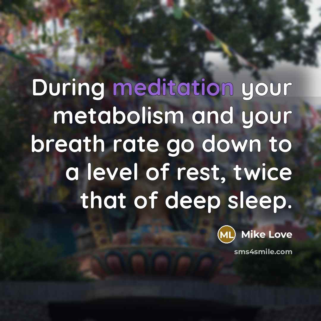 “During meditation your metabolism and your breath rate go down…” quote by Mike Love