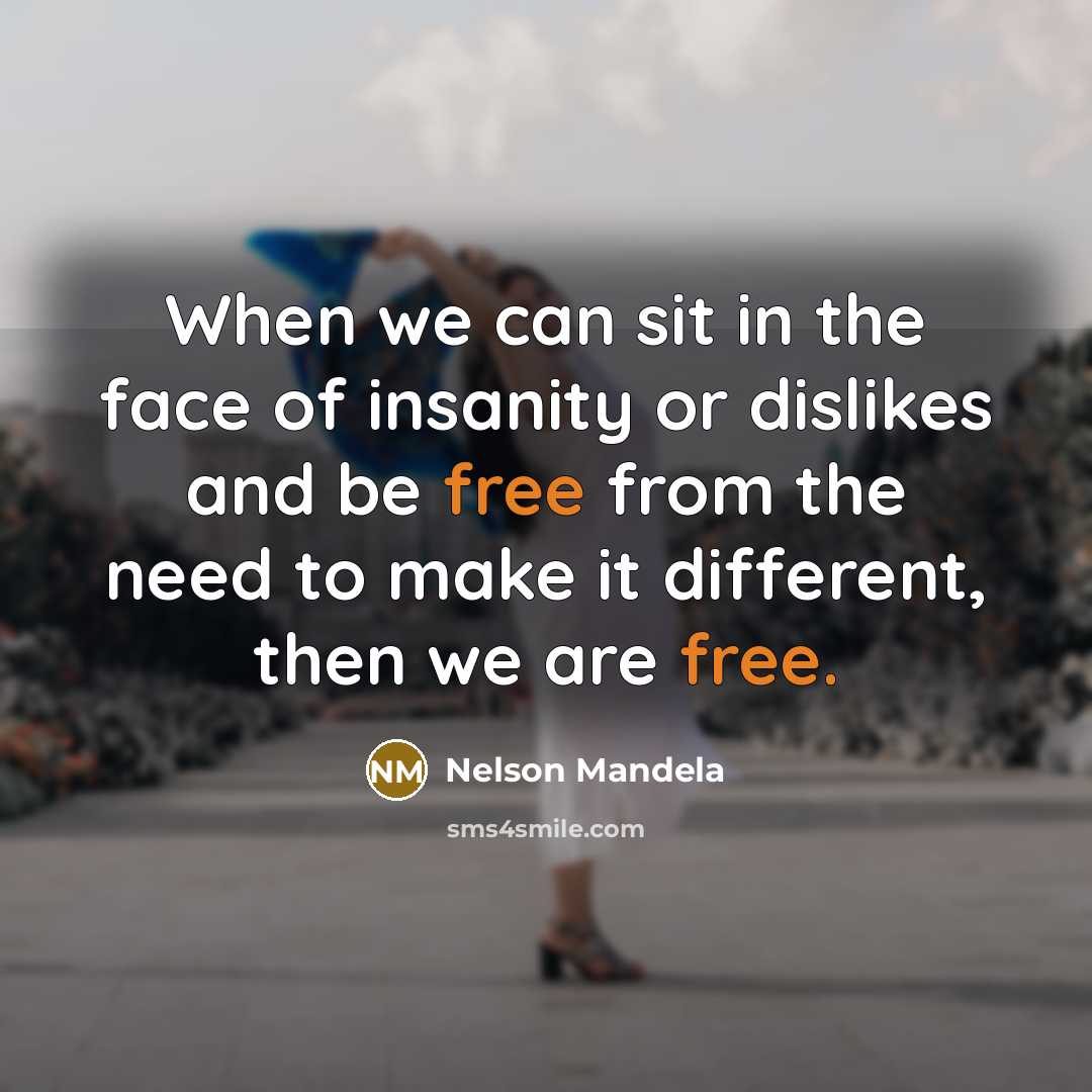 “When we can sit in the face of insanity or…” quote by Nelson Mandela