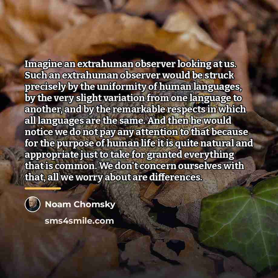 “Imagine an extrahuman observer looking at us. Such an extrahuman…” quote by Noam Chomsky