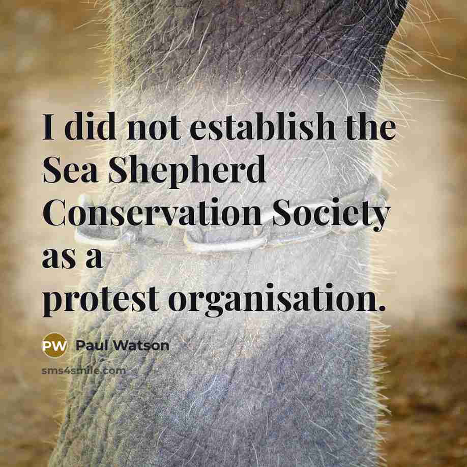 “I did not establish the Sea Shepherd Conservation Society as…” quote by Paul Watson
