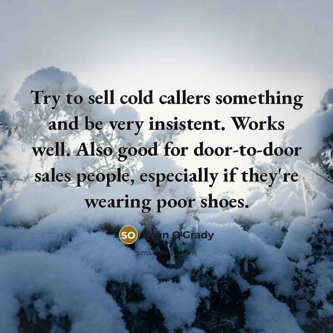 “Try to sell cold callers something and be very insistent.…” quote by Sean O'Grady