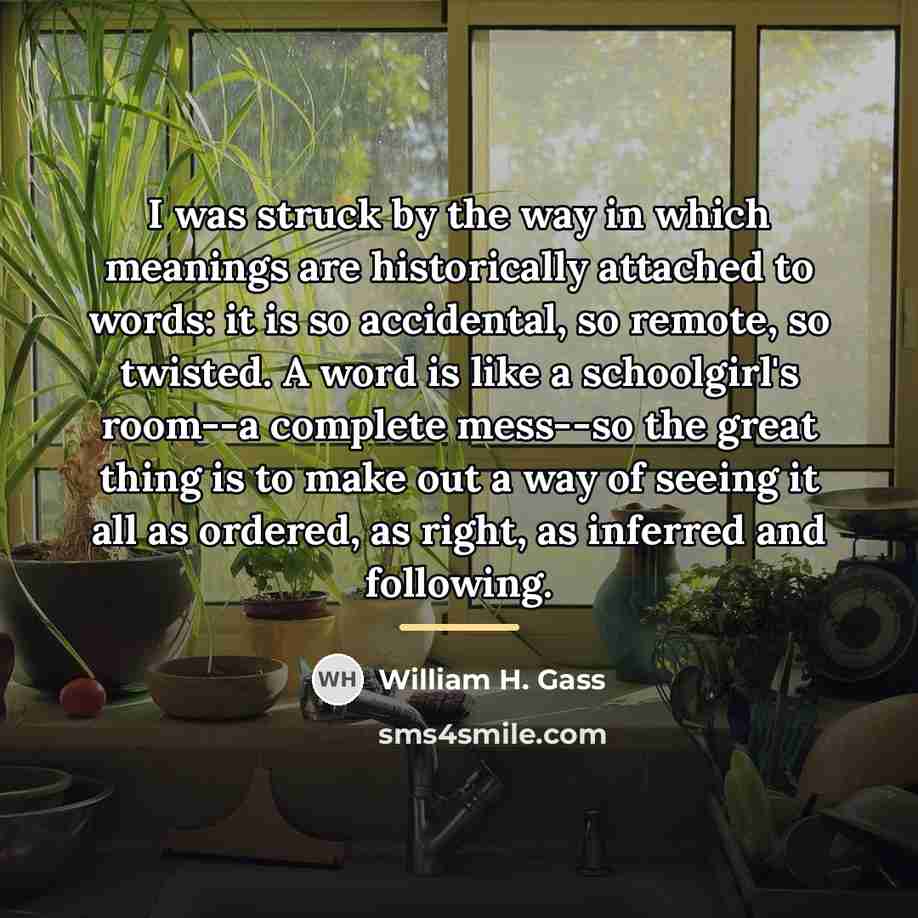 “I was struck by the way in which meanings are…” quote by William H. Gass