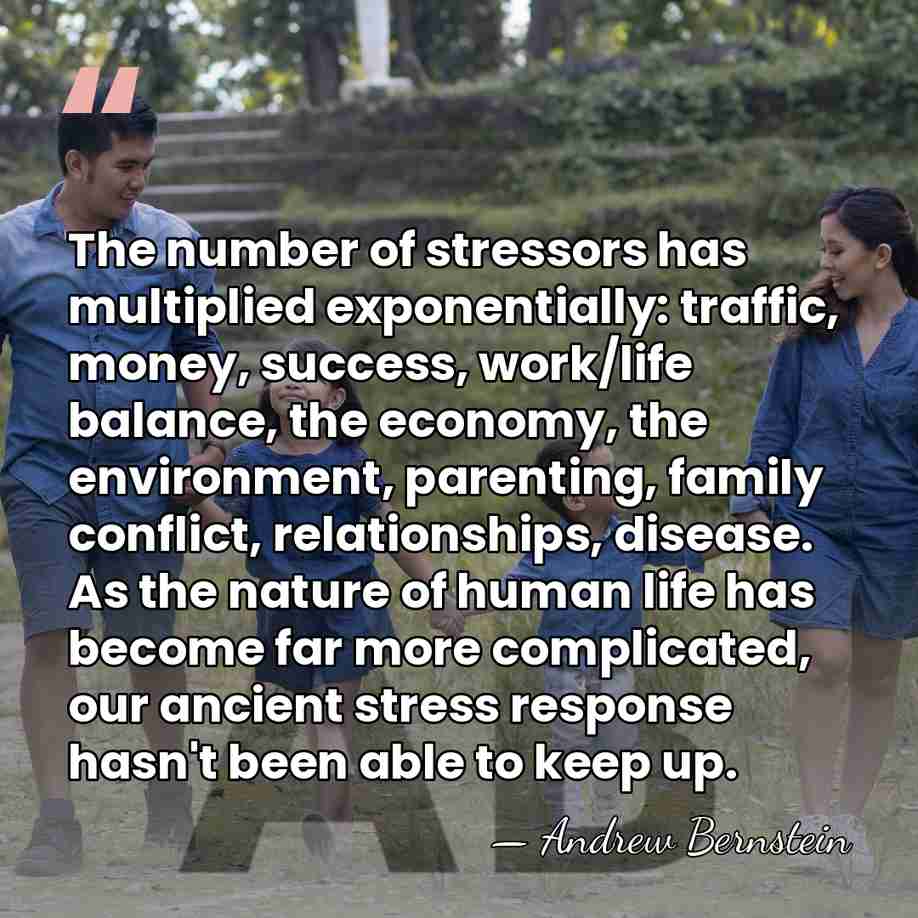 The number of stressors has multiplied exponentially: traffic, money, success, work/life balance,&hellip; - Andrew Bernstein