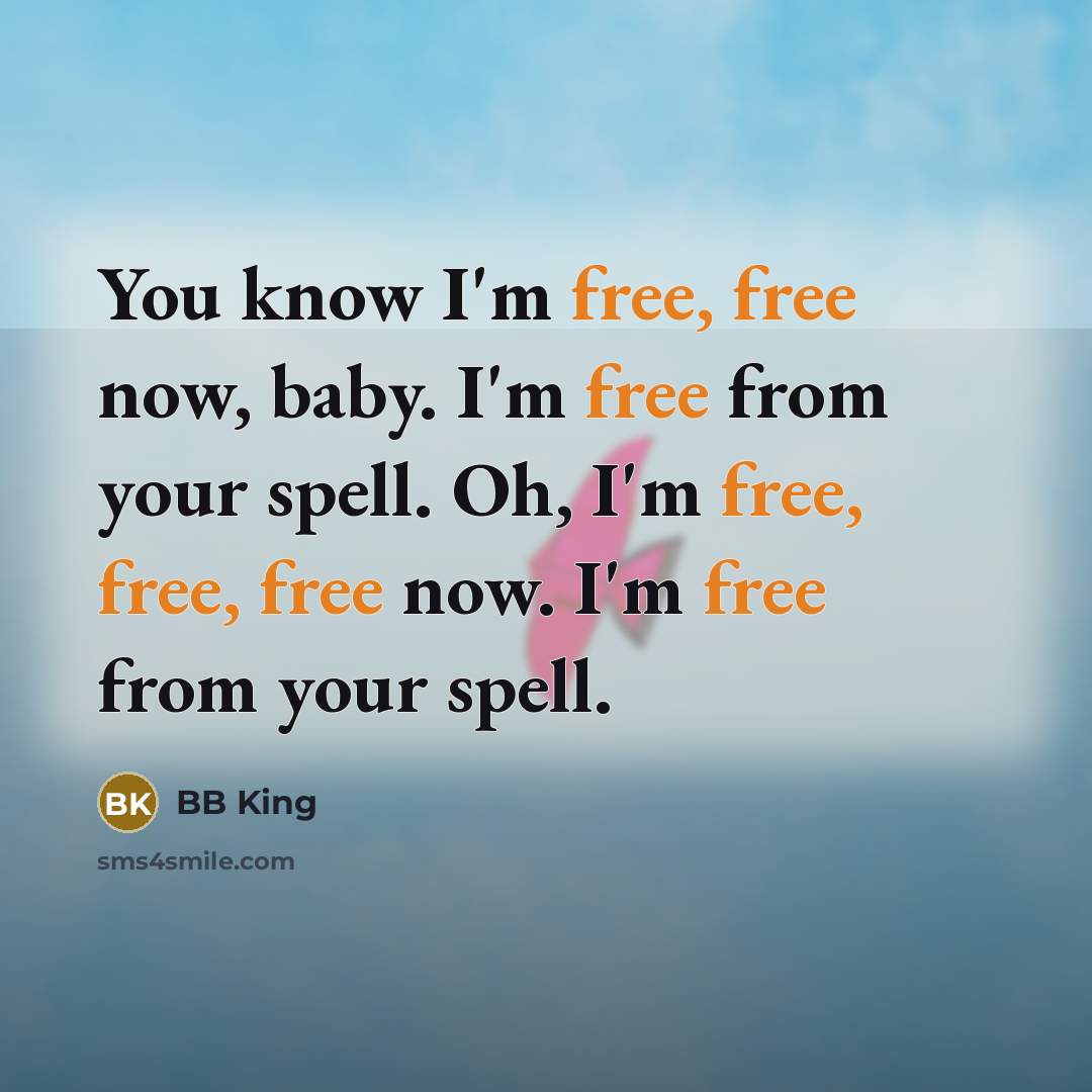 “You know I'm free, free now, baby. I'm free from…” quote by BB King