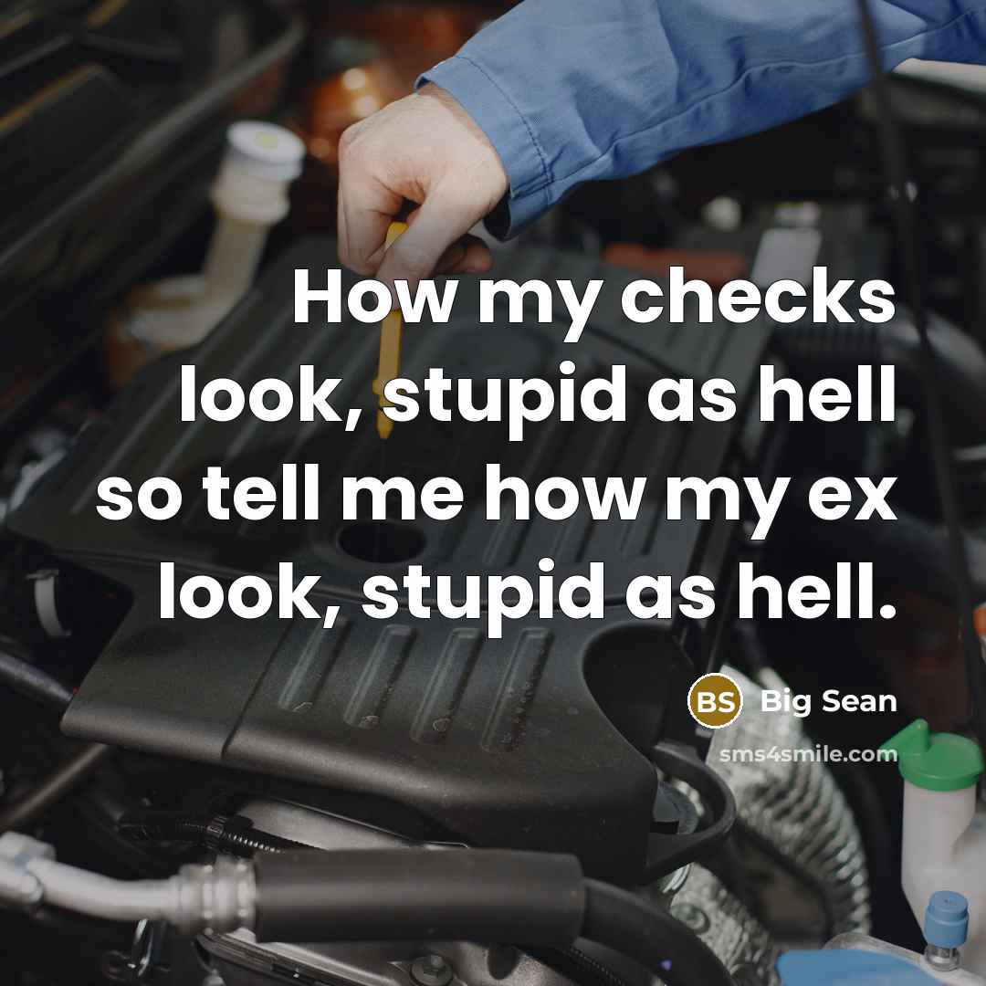 “How my checks look, stupid as hell so tell me…” quote by Big Sean