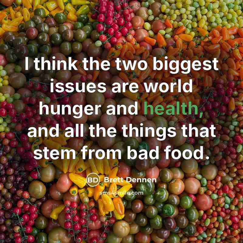 “I think the two biggest issues are world hunger and…” quote by Brett Dennen