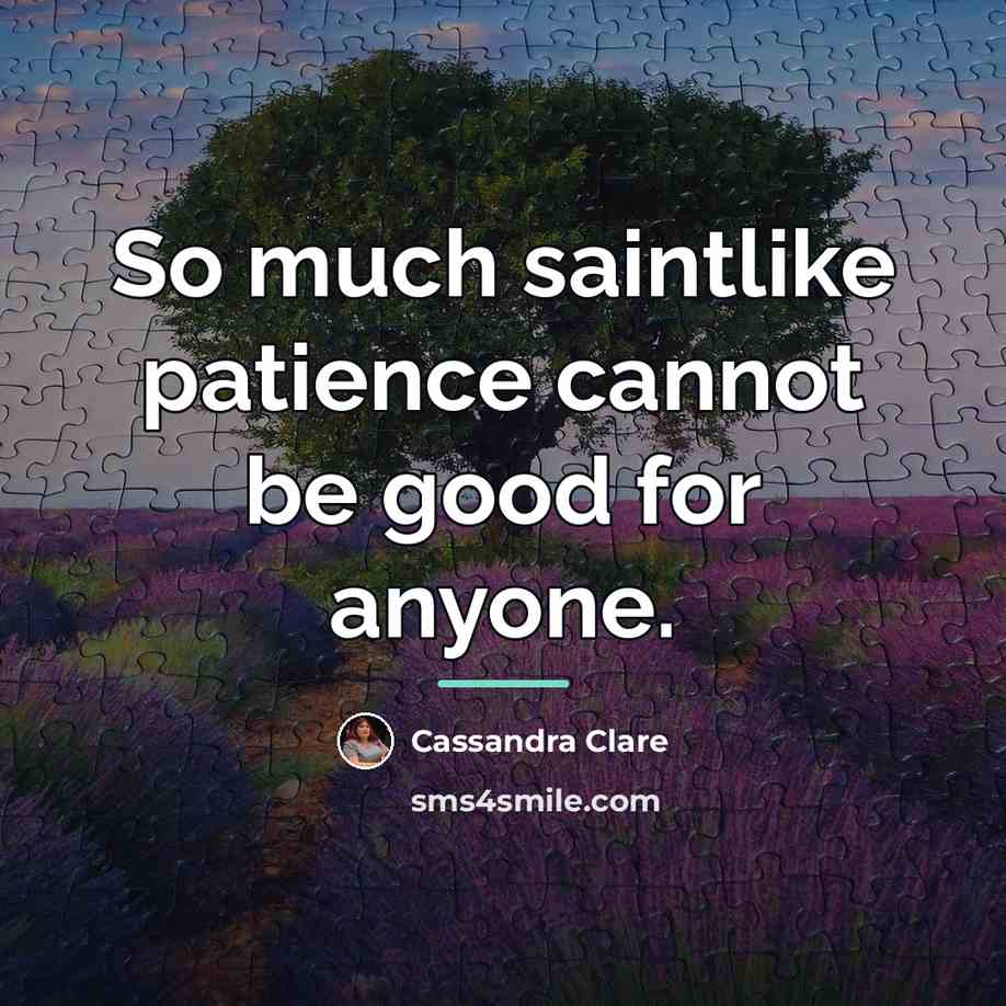 “So much saintlike patience cannot be good for anyone.…” quote by Cassandra Clare