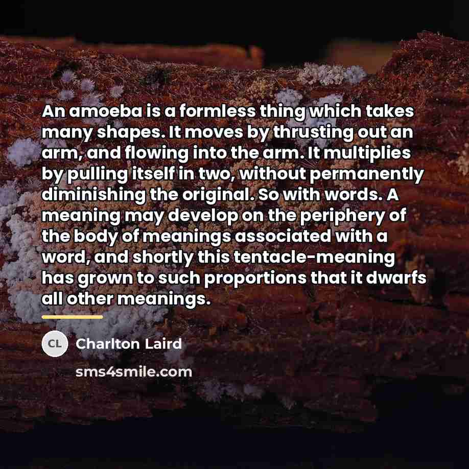 “An amoeba is a formless thing which takes many shapes.…” quote by Charlton Laird
