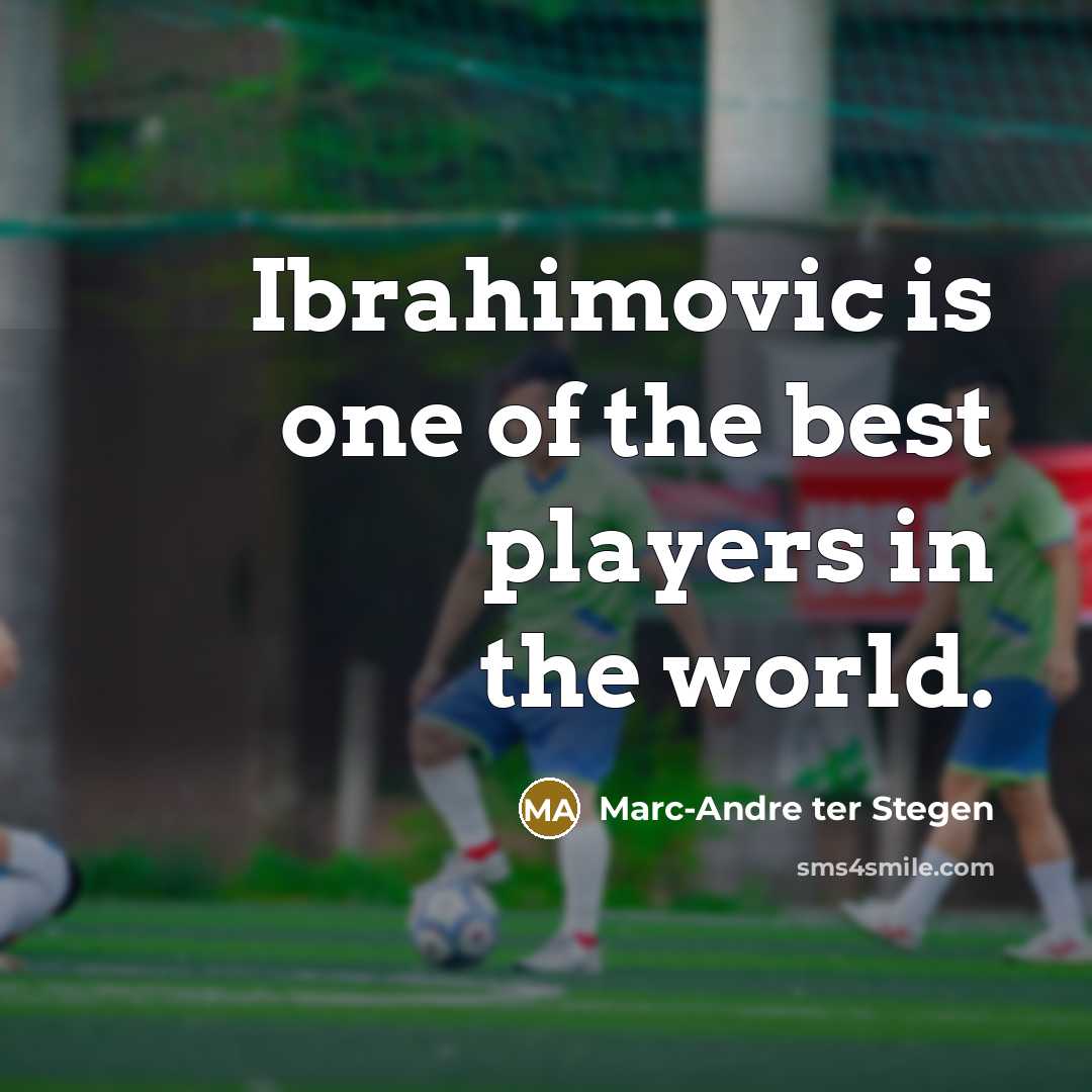 “Ibrahimovic is one of the best players in the world.…” quote by Marc-Andre ter Stegen