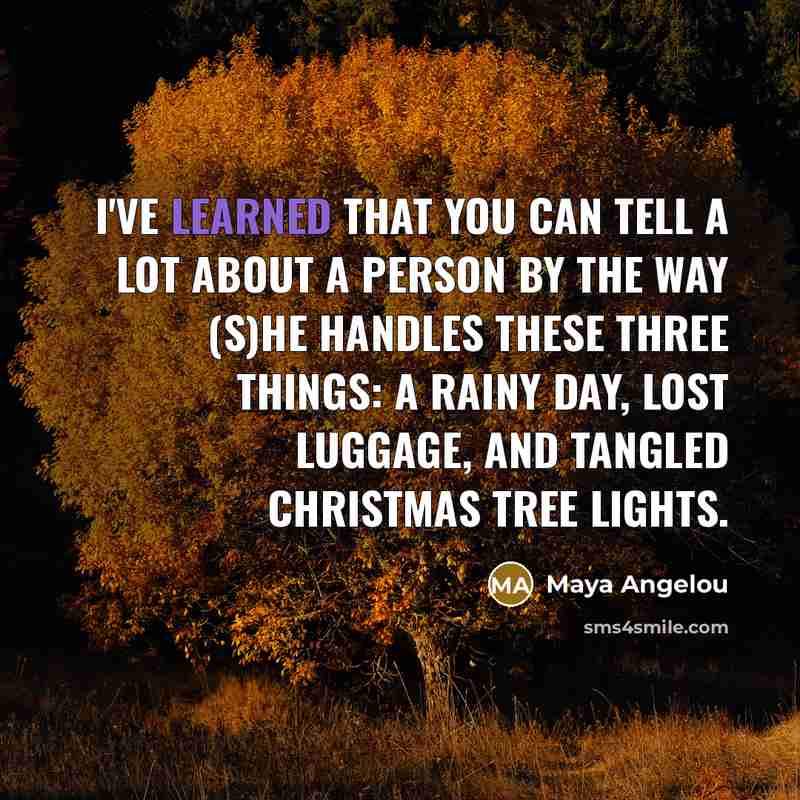 “I've learned that you can tell a lot about a…” quote by Maya Angelou