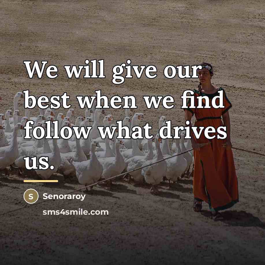 “We will give our best when we find follow what…” quote by Senoraroy