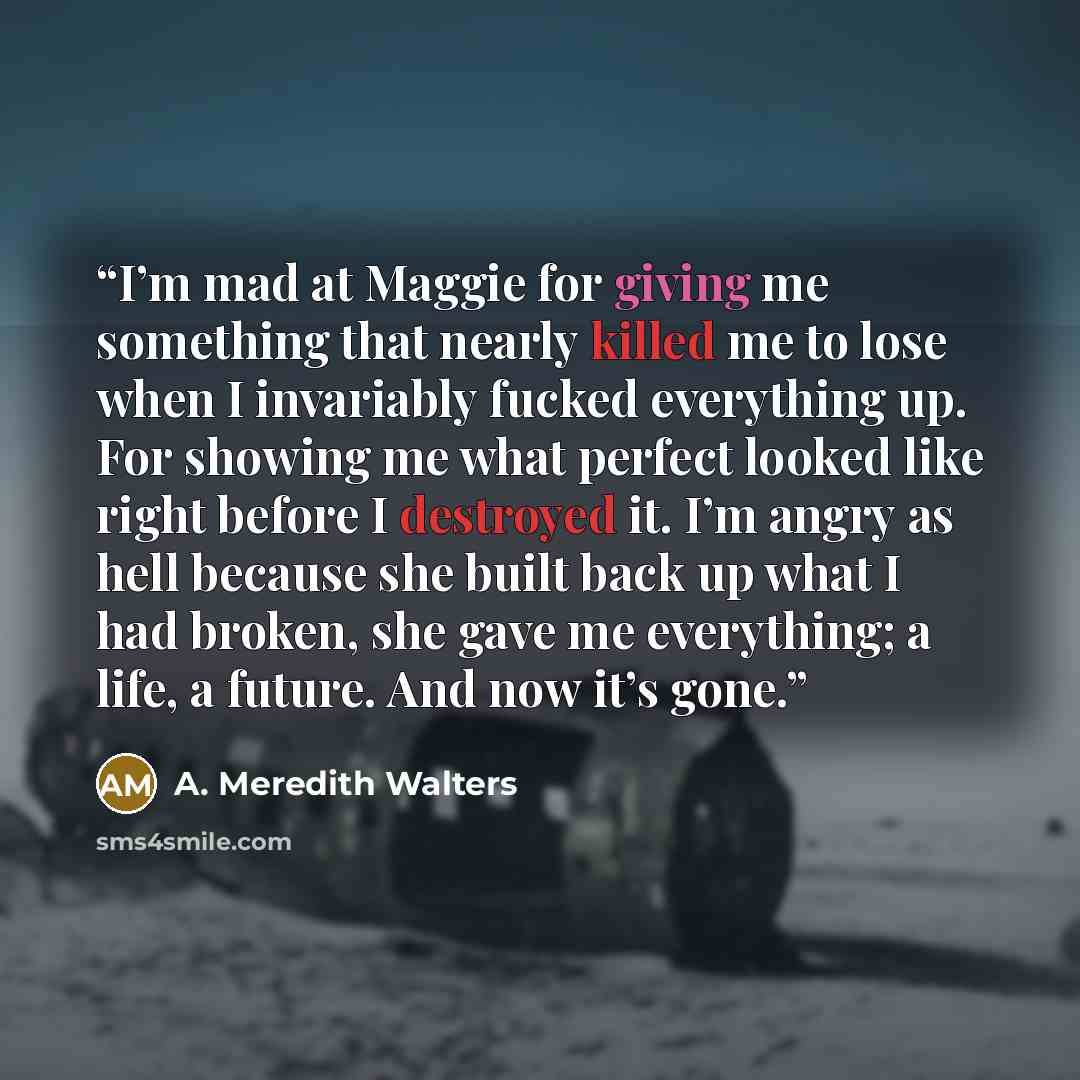 “I’m mad at Maggie for giving me something that nearly killed me to lose when I invariably fucked everything up. For showing me what perfect looked like right before I destroyed it. I’m angry as hell because she built back up what I had broken, she gave me everything; a life, a future. And now it’s…” quote by A. Meredith Walters