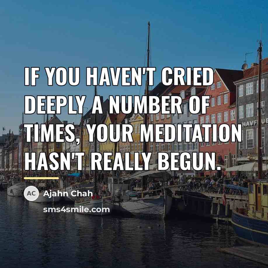 “If you haven't cried deeply a number of times, your…” quote by Ajahn Chah