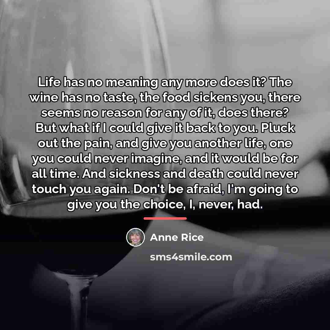 “Life has no meaning any more does it? The wine…” quote by Anne Rice