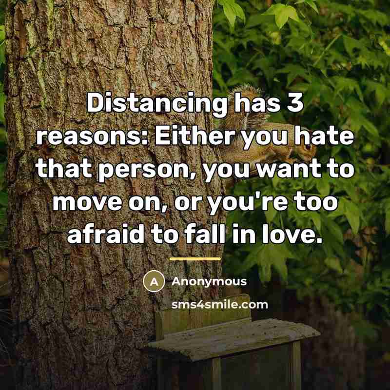 “Distancing has 3 reasons: Either you hate that person, you…” quote by Anonymous