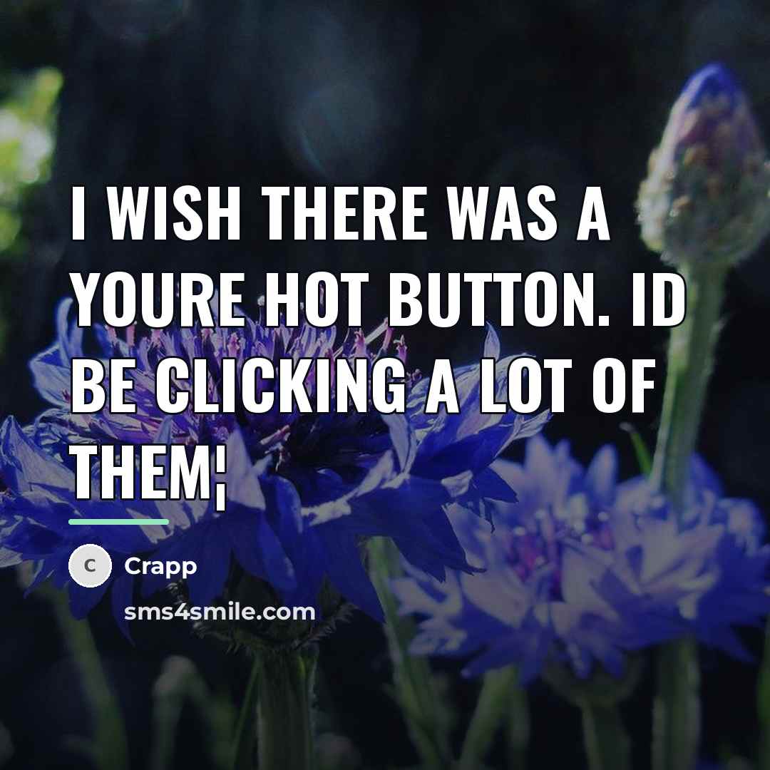 “I wish there was a Youre hot button. Id be…” quote by Crapp