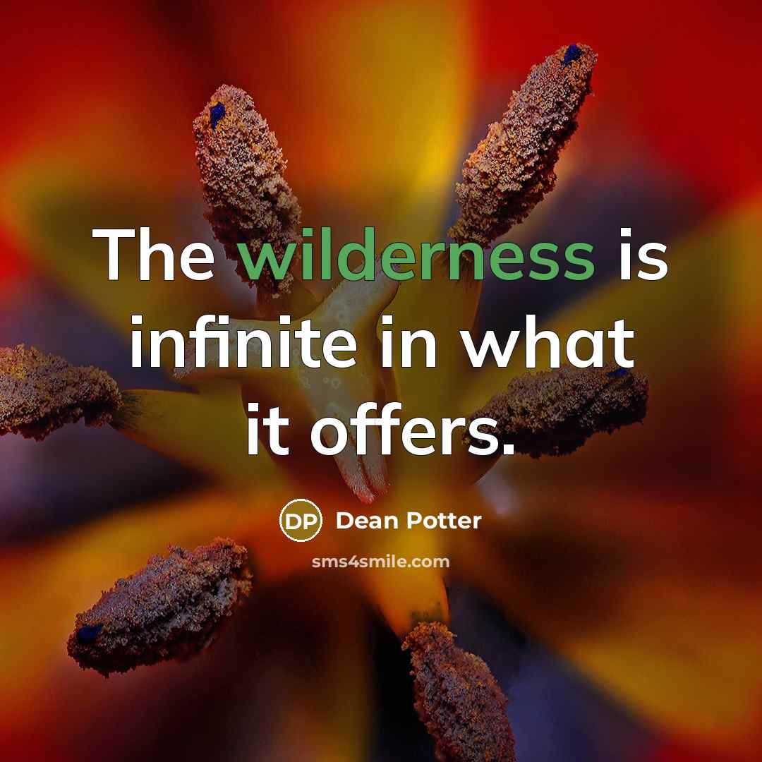 “The wilderness is infinite in what it offers.…” quote by Dean Potter
