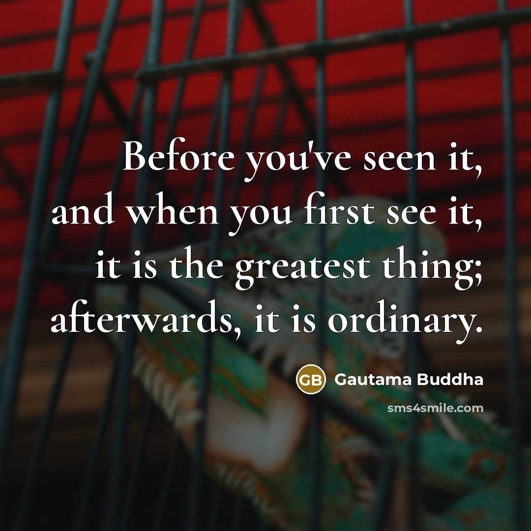 “Before you've seen it, and when you first see it,…” quote by Gautama Buddha