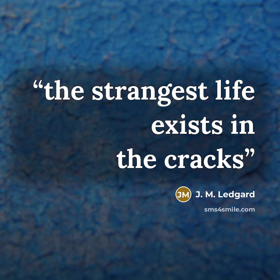 “the strangest life exists in the cracks” quote by J. M. Ledgard