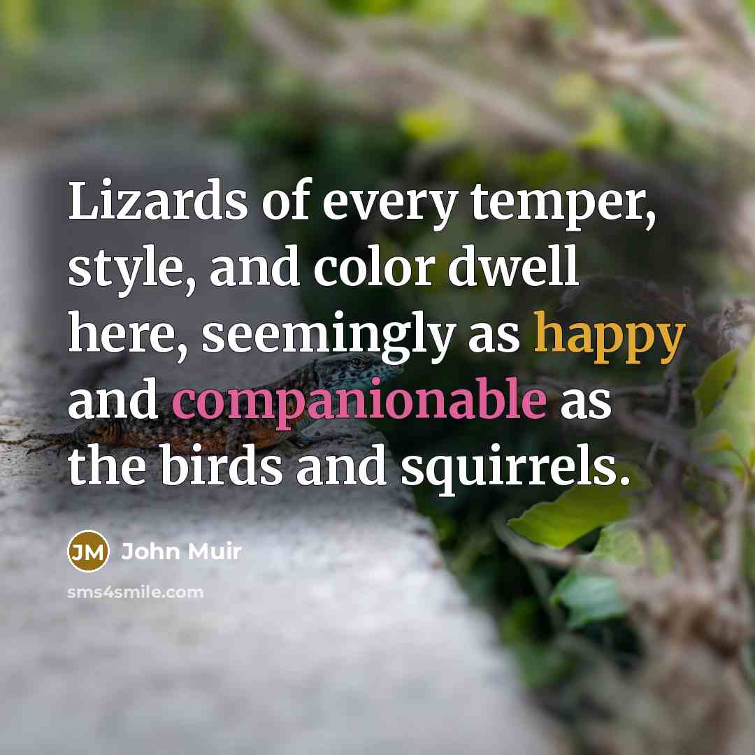 “Lizards of every temper, style, and color dwell here, seemingly as happy and companionable as the birds and squirrels.” quote by John Muir
